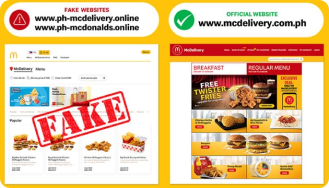 fake-website-thumbnail